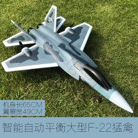 超大无人机遥控飞机航拍战斗机航模固定翼滑翔机儿童玩具F22行 大型F22猛禽[收藏送配件] 二块电池(飞30-40分钟)