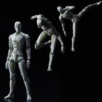 动漫周边玩具摆件东亚重工合成人间1/12男女素体关节可动手办模型 1/12灰色男素体 东亚重工