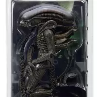 NECA 异形契约 异形大战铁血战士第6波 太空人 可动手办模型 6波异形 原装正版当天发货