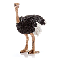 思乐德牌手工漆色大恐龙玩具儿童早教教具仿真动物模型 鸵鸟14744