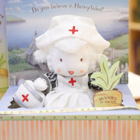 安抚小羊 小羊玩偶抖音同款毛绒娃娃生日玩具网红安抚公仔 护士服小羊 17厘米【礼盒包装】