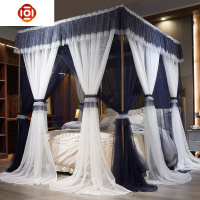 蚊帐家用落地1.8m床宫廷公主风2米1.5m双层加密加厚纹账欧式夏季 三维工匠