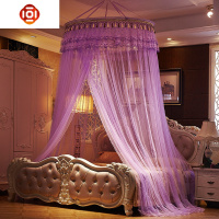 圆顶蚊帐吊顶支架蚊帐公主加密加大吸顶落地挂钩式吊挂带支架圆形 三维工匠