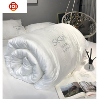 轻奢60支烫钻天丝玻尿酸夏凉被芯棉双人加厚保暖春秋冬被子 三维工匠