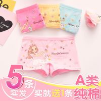 儿童内裤女平角裤纯棉宝宝婴儿小女孩小孩大童小学生四角女童内裤
