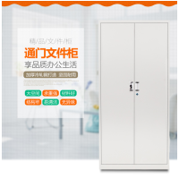 顶鸿DH-5697文件柜办公柜钢制铁皮柜储物柜资料柜财务凭证柜档案柜二门文件柜