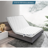 顶鸿DH-5711床垫椰棕床垫硬棕垫3E椰棕薄折叠床垫榻榻米1.5m