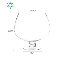 三维工匠英雄杯超大酒杯大号酒杯型鱼缸特大号红酒杯大容量高脚巨型啤酒杯 5000毫升