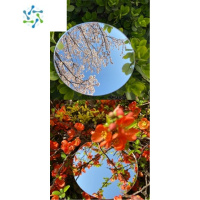 三维工匠摄影摄像圆形塑料镜子亚克力小镜片有机玻璃镜便携带安全镜不割手 直径25厘米3毫米厚 高清镜面便携式用镜