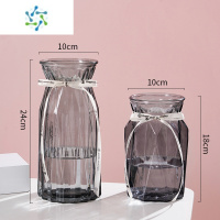 三维工匠[两个装]花瓶北欧欧式摆件客厅透明玻璃简约水养插花干花器鲜花 24折纸+18卓越(烟灰) 中等