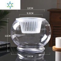 三维工匠创意水培植物玻璃花瓶透明水养绿萝花盆容器插花瓶圆球形鱼缸器皿 (15D圆球)+水培蓝 中等