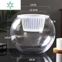 三维工匠创意水培植物玻璃花瓶透明水养绿萝花盆容器插花瓶圆球形鱼缸器皿 (20圆球)+水培 中等