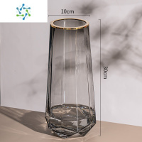 三维工匠北欧简约创意玻璃花瓶透明水养插花瓶鲜花玫瑰百合花客厅摆件网红 B烟灰描金大号[精致款] 中等