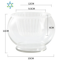 三维工匠创意水培瓶植物透明玻璃花瓶容器绿萝花盆鱼花共养缸水养摆件器皿 15D-圆球 中等