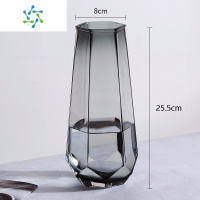 三维工匠北欧创意简约轻奢网红玻璃花瓶透明水养百合玫瑰鲜花客厅插花摆件 25六边 烟灰色[款] 大