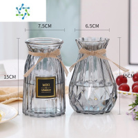 三维工匠[三件套]简约玻璃花瓶透明水培植物绿萝观音竹装饰插花瓶小摆件 ms(小贴标+小钻石)烟灰色 中等