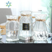 三维工匠[三件套]简约玻璃花瓶透明水培植物绿萝观音竹装饰插花瓶小摆件 小贴标+小竖菱+小南瓜 透明(送麻绳) 中等