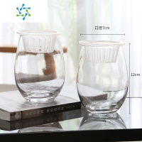 三维工匠[两件套]加厚北欧ins风玻璃花瓶透明水培植物绿萝创意简约花器 小鹅蛋2个(送定植篮) 中等