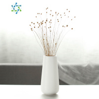 三维工匠欧式简约仿真花干花水培陶瓷花瓶家居玄关花器摆件装饰工艺品 白色小号带满天星干花