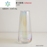 三维工匠北欧ins风简约鲜花摆件客厅插花干花透明玫瑰玻璃花瓶高级感网红 直筒缩口款-幻彩色(主图款)