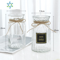 三维工匠[两件套]加厚北欧ins风玻璃花瓶透明水培植物绿萝创意简约花器 (小贴标+小竖菱)透明/送麻绳 中等