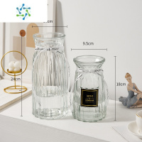 三维工匠ins风简约透明玻璃花瓶水养鲜花玫瑰富贵竹仿真插花摆件居家装饰 24折纸+18贴标(透明) 中等