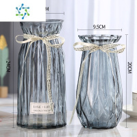 三维工匠[二件套]大号欧式简约透明彩色水培富贵竹百合干花玻璃花瓶摆件 24折纸+20新诺(灰色) 大