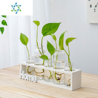 三维工匠ins简约木质水培玻璃花瓶水培植物透明插花花器客厅家居装饰摆件 白色5孔 带水瓶