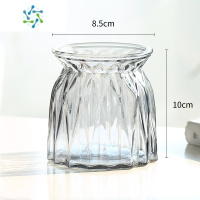 三维工匠创意水培瓶植物透明玻璃花瓶容器绿萝花盆鱼花共养缸水养摆件器皿 钻石灰色2个