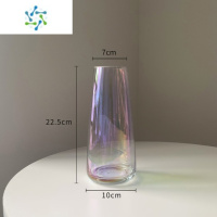 三维工匠网红花瓶摆件客厅插花玻璃ins风北欧郁金香水培鲜花装饰小众摆件 炫彩[破损包赔] [一级品加厚版]