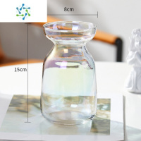 三维工匠北欧创意ins风透明玻璃小花瓶水培干鲜花插花装饰品客厅家用摆件 19113(电镀七彩) 中等