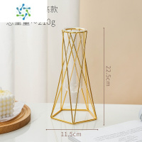 三维工匠轻奢铁艺花瓶简约北欧水培玻璃瓶插花摆件家用客厅茶几餐桌装饰品 水培花器-高款