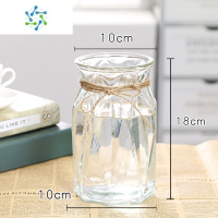 三维工匠欧式简约水培玻璃花瓶透明水养绿萝富贵竹植物花盆客厅插花瓶摆件 (小竖棱花瓶透明+麻绳) 中等