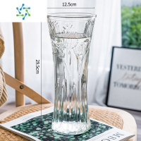 三维工匠大号透明玻璃花瓶水培百合观音富贵竹鲜花插花瓶客厅家用摆件专用 30圆口郁金香 大