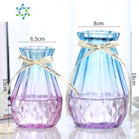 三维工匠[两件套]北欧玻璃花瓶透明水养富贵竹百合客厅干鲜花插花瓶摆件 15新钻(蓝紫色)+18新钻(蓝紫色) 大