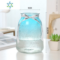 三维工匠轻奢 ins简约玻璃花瓶水养鲜花百合插花花器网红客厅装饰花瓶摆件 ins风(冰点)兰色 中等