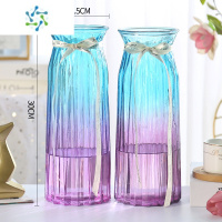 三维工匠[二件套]特大号玻璃花瓶透明水养富贵竹百合花瓶摆件客厅插花瓶 (30折纸2个)蓝/紫
