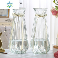 三维工匠[二件套]特大号玻璃花瓶透明水养富贵竹百合花瓶摆件客厅插花瓶 (30南瓜2个)透明