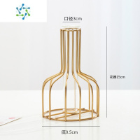 三维工匠ins风 北欧透明玻璃花瓶小摆件创意简约客厅干花插花餐桌面装饰品 金色铁艺(试管花瓶) 中等