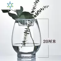三维工匠欧式创意恐龙蛋花瓶 透明玻璃花瓶 简约水培绿萝花卉植物玻璃器皿 20cm(恐龙蛋)