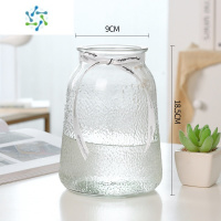 三维工匠轻奢 ins简约玻璃花瓶水养鲜花百合插花花器网红客厅装饰花瓶摆件 ins风(冰点)透明 中等