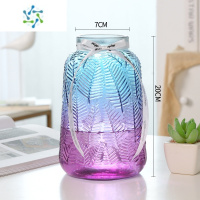 三维工匠轻奢 ins简约玻璃花瓶水养鲜花百合插花花器网红客厅装饰花瓶摆件 ins风(枫叶)兰紫 中等