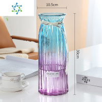 三维工匠[二件套]大号玻璃花瓶透明水培鲜花富贵竹百合花瓶客厅插花摆件 TZ(30折纸)蓝/紫 大