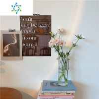 三维工匠*漂亮的小姨妈* ins透明玻璃花瓶简约桌面装饰摆件手提竖纹插花瓶 中号手提花瓶