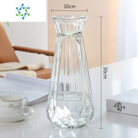三维工匠[二件套]大号玻璃花瓶透明水培鲜花富贵竹百合花瓶客厅插花摆件 (30南瓜)透明 大
