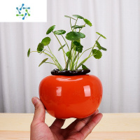 三维工匠创意柿子花瓶水养绿萝水培花盆陶瓷柿柿如意北欧客厅桌面装饰摆件 橘色中号柿子花瓶 (不含植物)