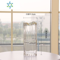 三维工匠北欧玻璃花瓶透明简约创意客厅插花水养百合玫瑰鲜花餐桌花器摆件 大号透明(金奈斯系列)