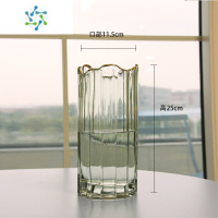 三维工匠北欧玻璃花瓶透明简约创意客厅插花水养百合玫瑰鲜花餐桌花器摆件 小号绿色(金奈斯系列)