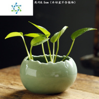 三维工匠水培花瓶器皿陶瓷花瓶创意个性插花水养绿萝植物花器客厅装饰摆件 O11绿色惜缘无孔水培盆 中等