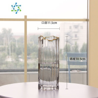 三维工匠北欧玻璃花瓶透明简约创意客厅插花水养百合玫瑰鲜花餐桌花器摆件 大号灰色(金奈斯系列)